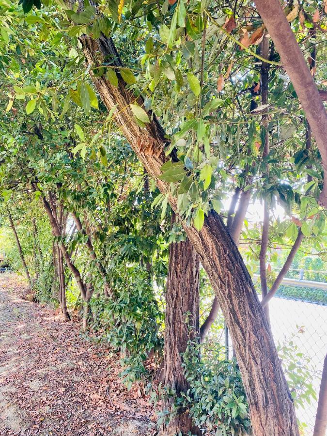 Villa Francesca 斯波特勒 外观 照片